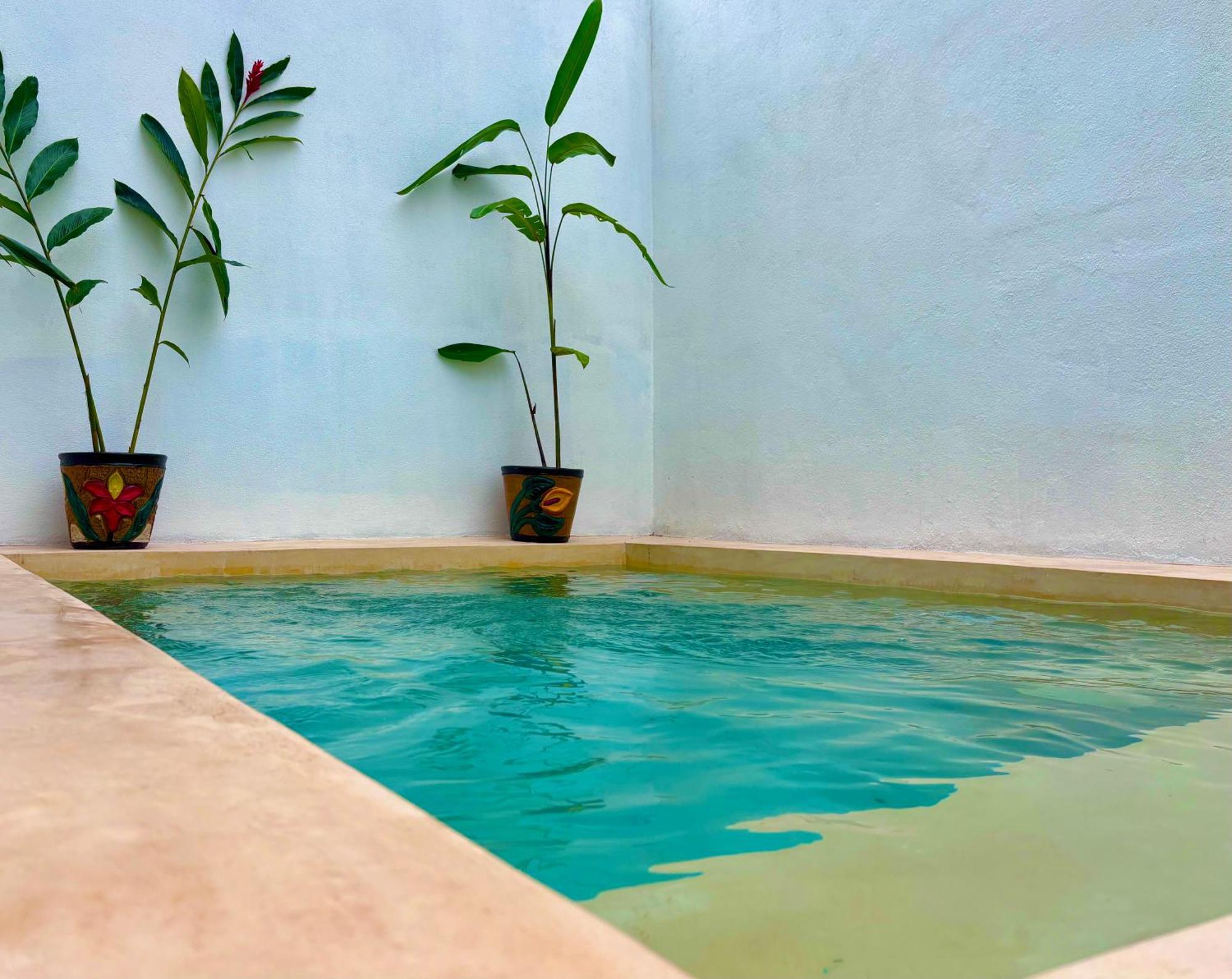 Villa EXCELENTE CASA AURA - EN PRIVADA ALBERCA y GYM Ciudad Valles Exterior foto